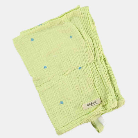 Baby lime muslin