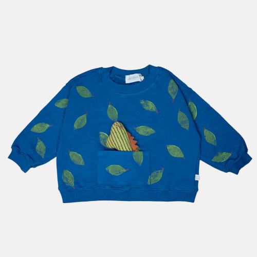 Boy's blue sweatshirt